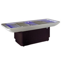 Массажный стол Venus Easy